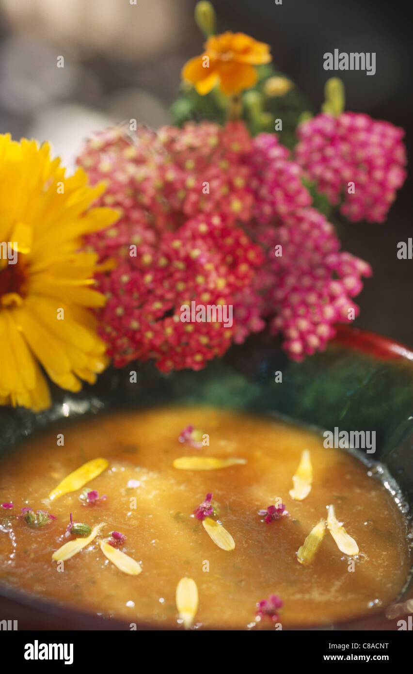 Calendula e zuppa Alchémille Foto Stock