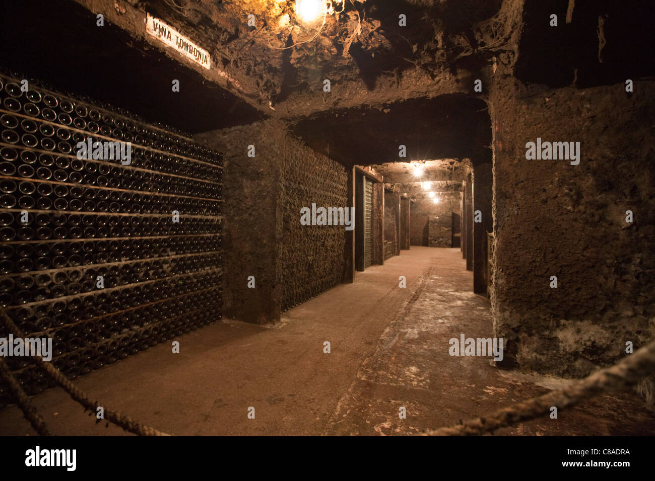 Vina Tondonia Bodega cantine con vecchie bottiglie scaffalature, in Haro La Rioja Spagna 110591 Spagna Foto Stock