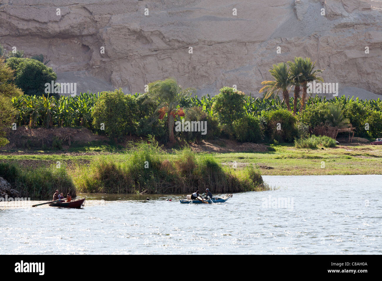La sezione di lussureggiante verde fiume Nilo bank contro uno sfondo di roccia con due piccole barche da pesca sul fiume di fronte, Egitto Foto Stock
