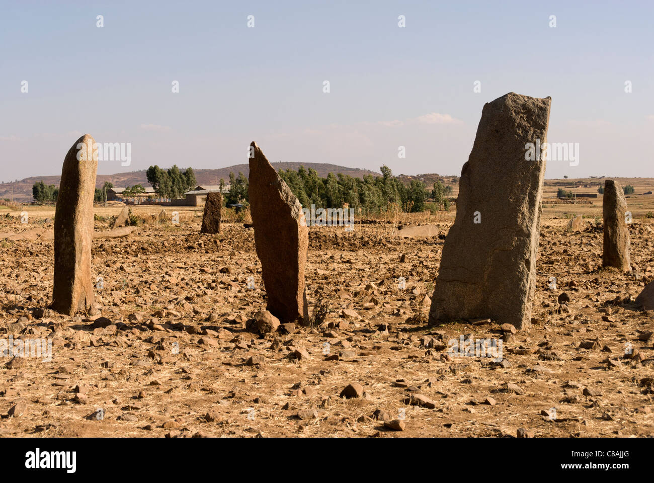 Elk200-2757 Etiopia, Axum, stele Gudit campo. Foto Stock