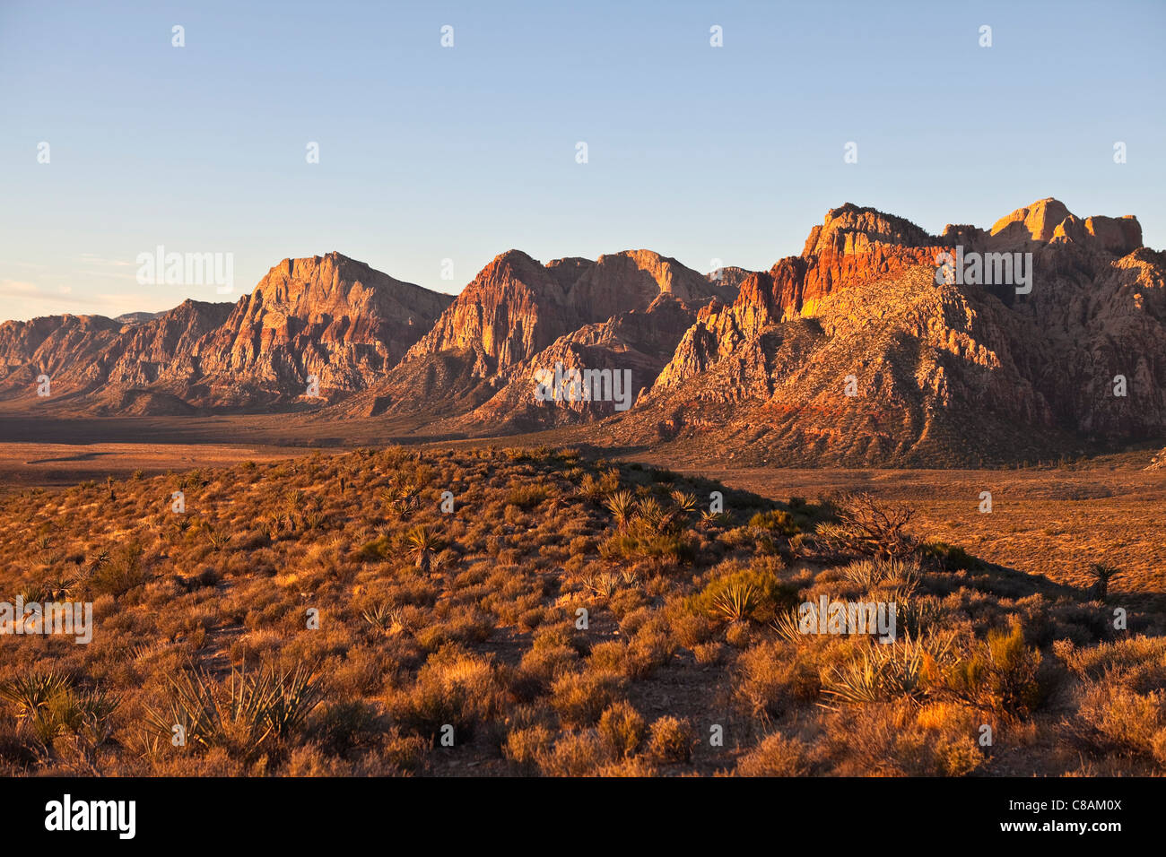 Luce di Alba al Red Rock National Conservation Area nel Sud Nevada. Foto Stock