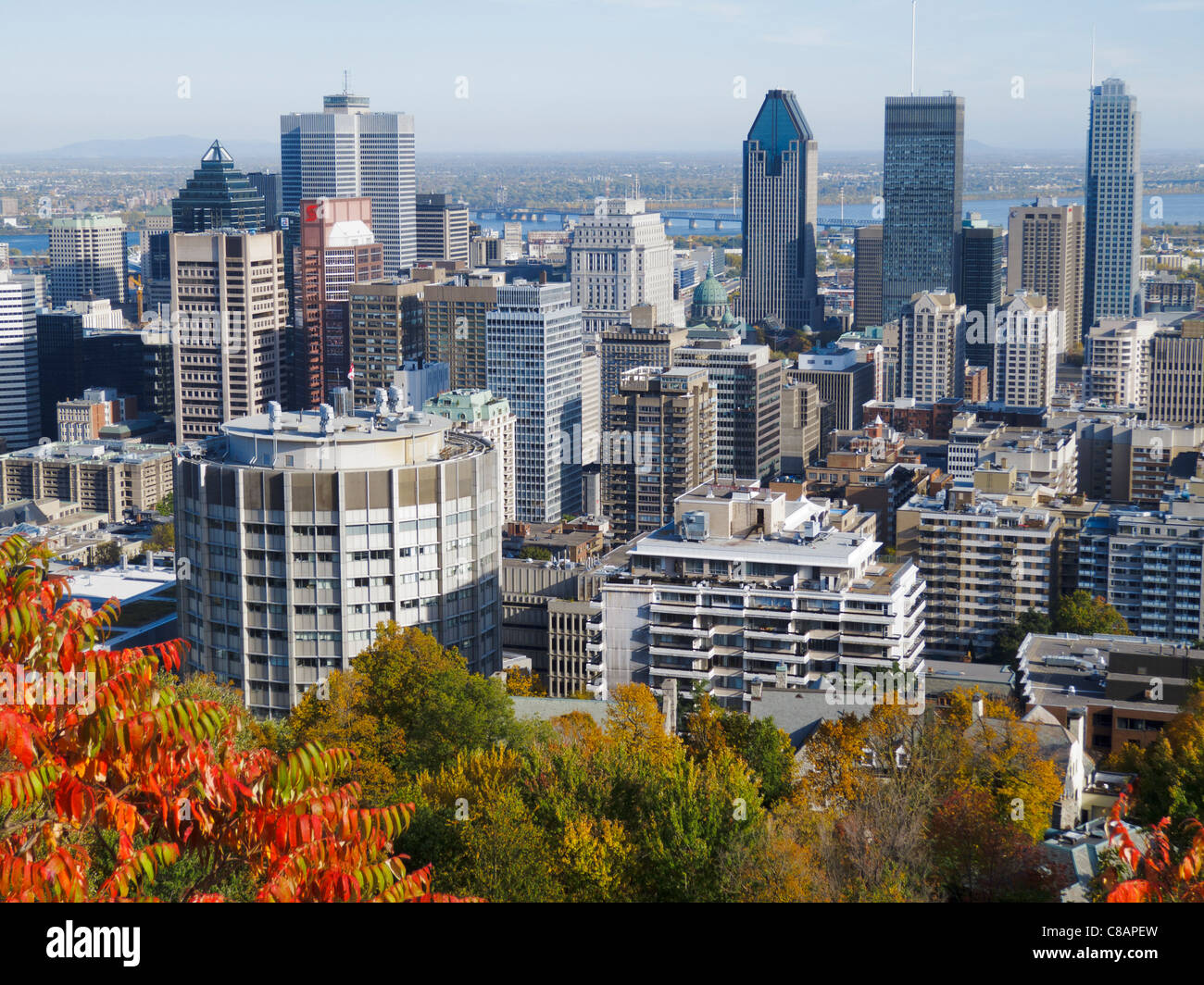 Vista su Montreal dal Kondiaronk lookout a Mount Royal Foto Stock