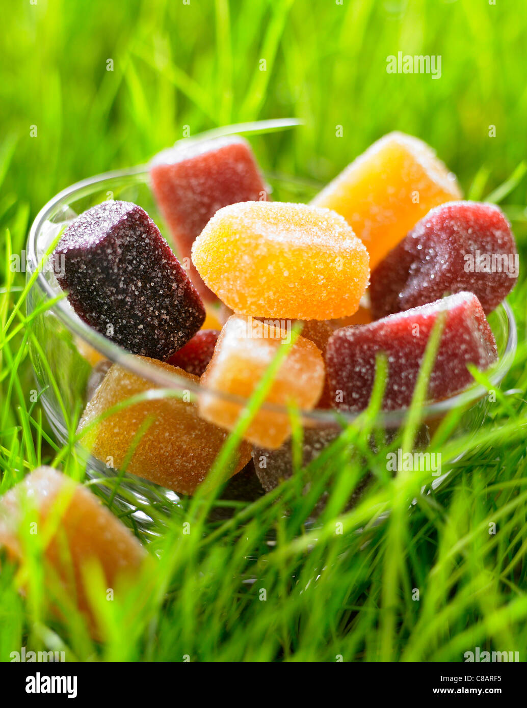 Ciotola di paste di frutta sull'erba Foto Stock