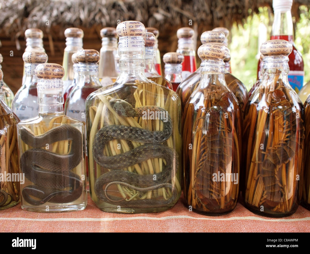 Liquore di serpente (bottiglie di whisky di riso con serpenti e millepiedi  in un mercato in stallo in Laos, Sud Est Asiatico Foto stock - Alamy
