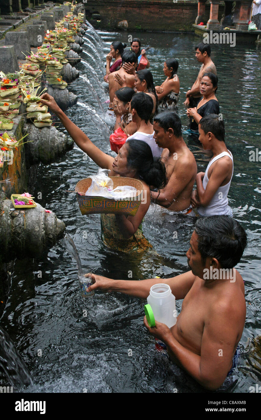 Adoratori di purificare la piscina a Tirta Empul Temple, Bali Foto Stock Adoratori di purificare la piscina a Tirta Empul Temple, Bali Foto Stock