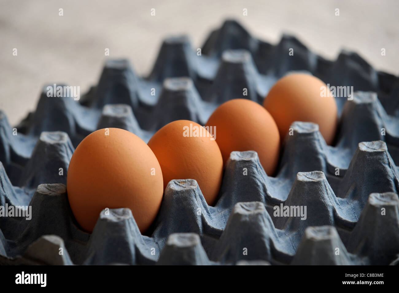 Re. Presidente del British Free Range Egg Producers Association, Tom Vesey chi ritiene che la produzione di uova grandi è crudele a h Foto Stock