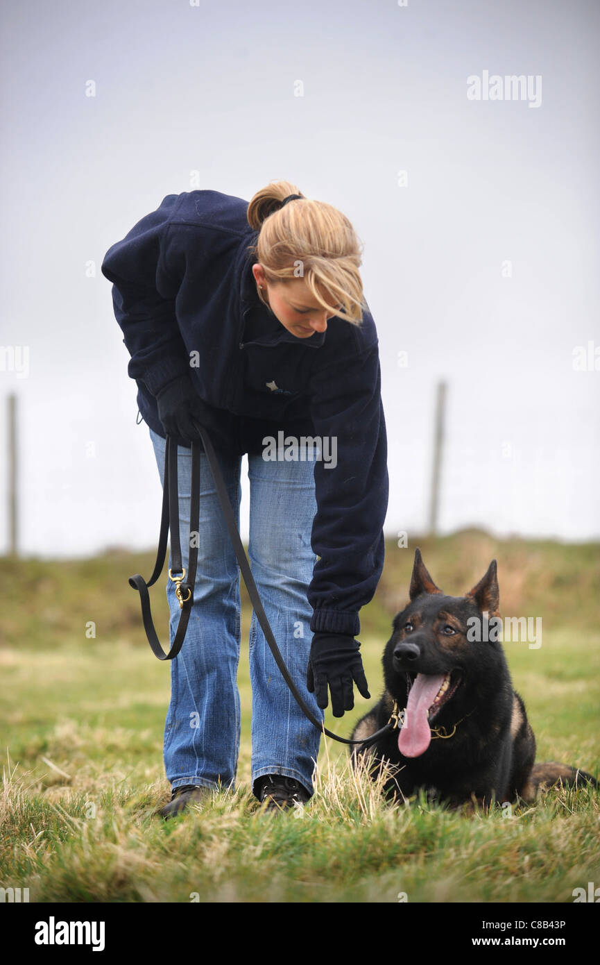 Un pastore tedesco e un gestore in pratica ad un dog training center specializzato nella protezione personale e sicurezza REGNO UNITO Foto Stock