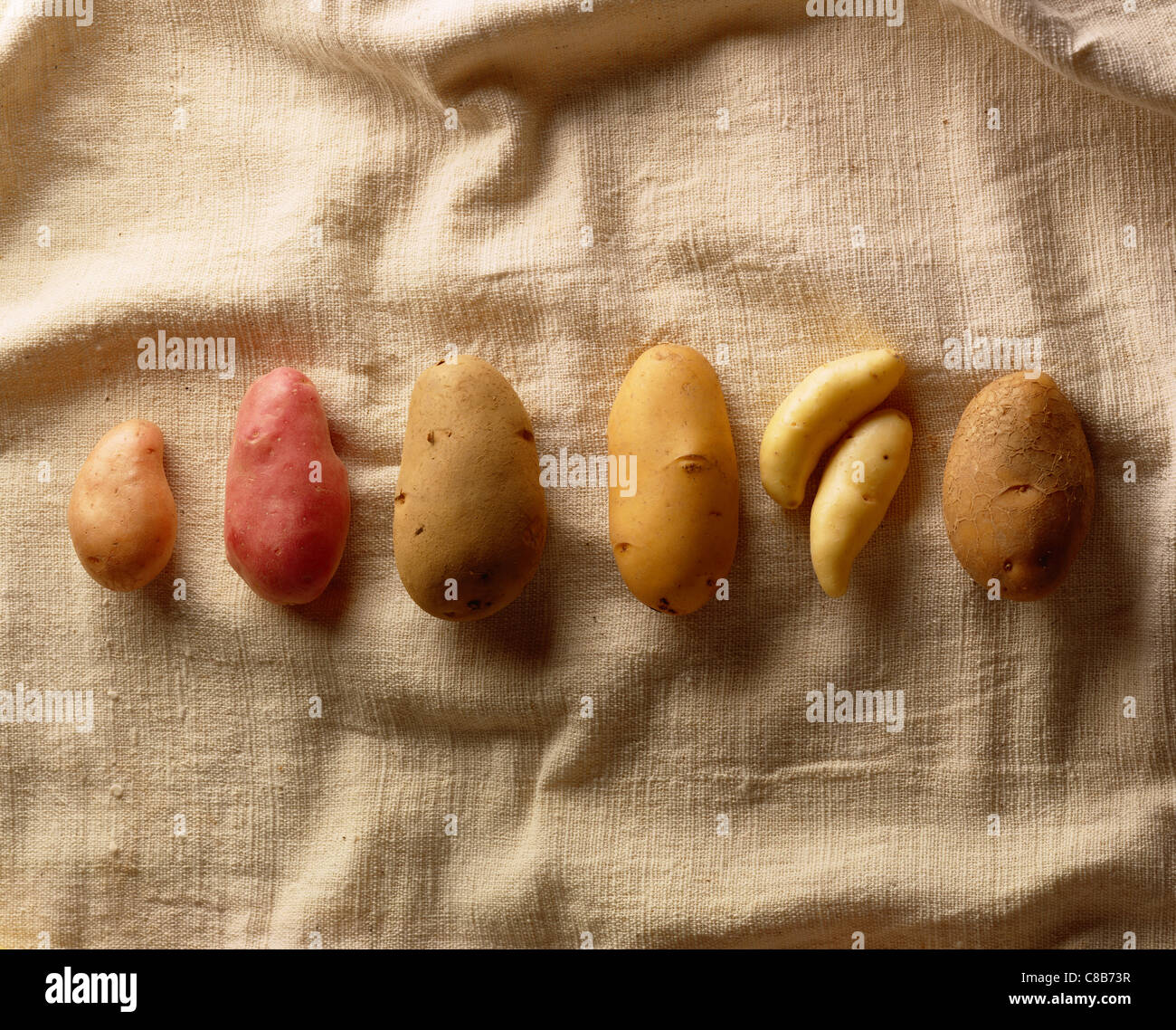 Varietà di patate Foto Stock