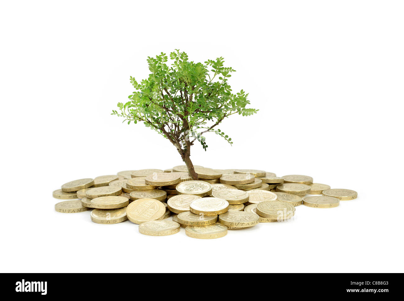 Albero che cresce da un mucchio di monete Foto Stock