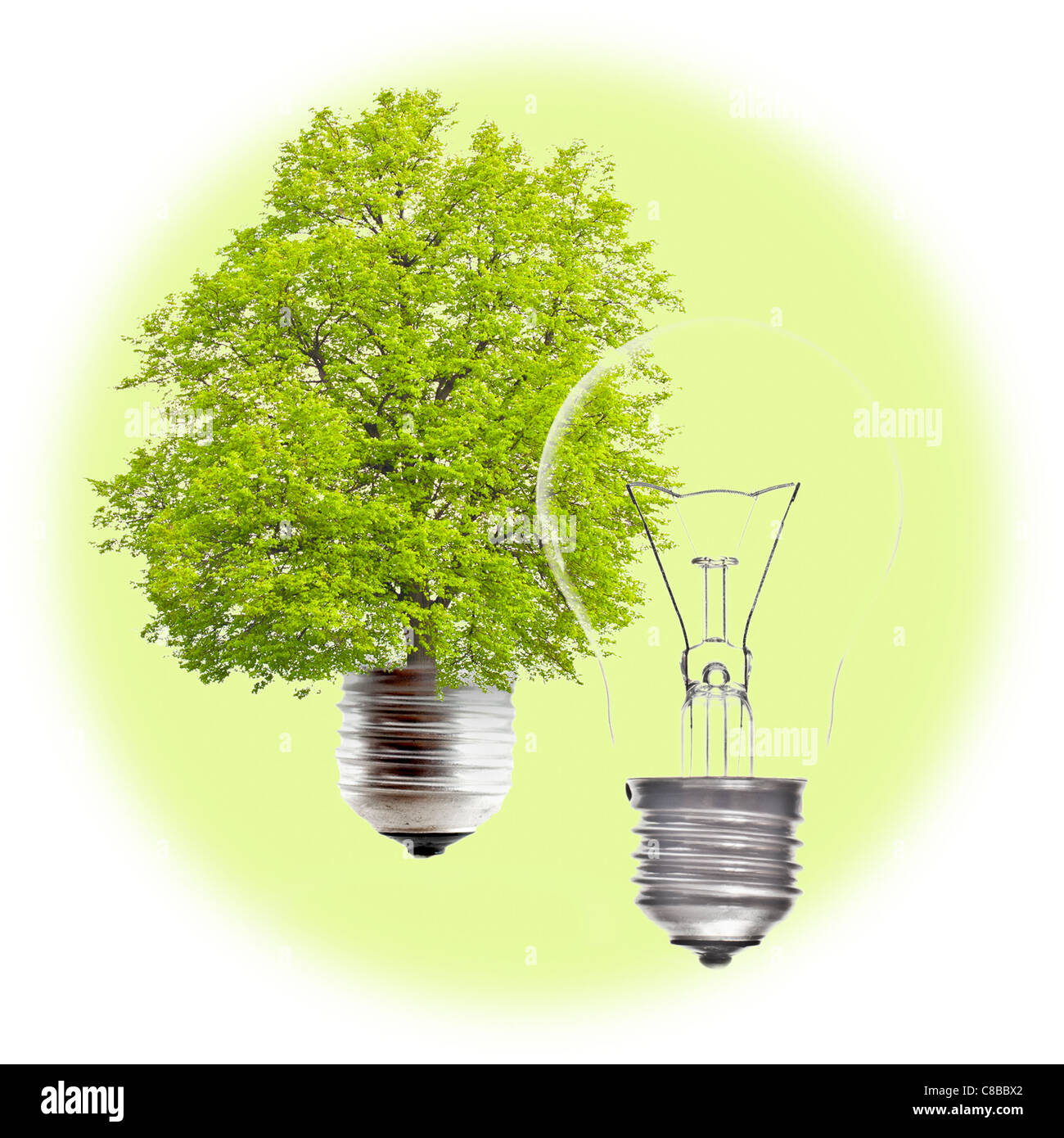 Lampadina elettrica e verde della lampadina di luce su uno sfondo bianco. Il concetto di energia rinnovabile. Foto Stock
