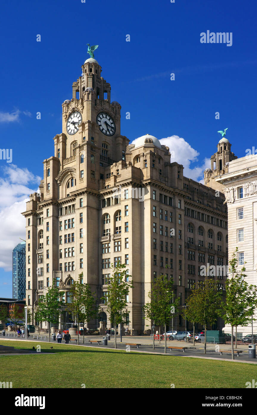 Il Liver Building con il Fegato uccelli statue, Waterfront, Liverpool, Liverpool, in Inghilterra, Regno Unito, Gran Bretagna Foto Stock