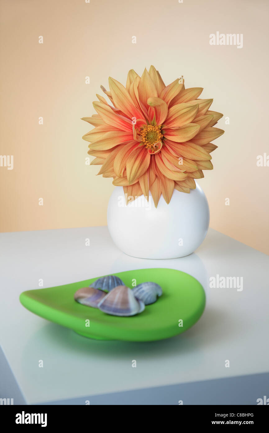 Orange Dahlia in vaso rotondo e verde piastra decorativa Foto Stock