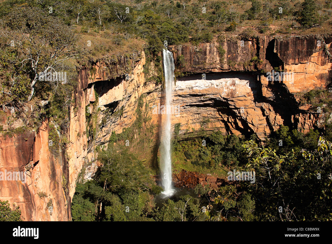 Sposa Veil Falls, Brasile Foto Stock