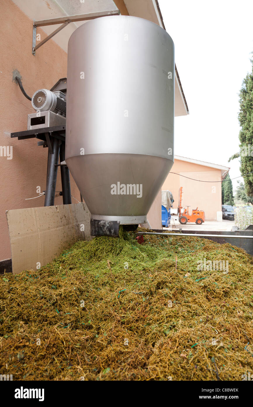 Scartati bucce dopo l'estrazione del succo di frutta per rendere il vino bianco di Frascati, Italia Foto Stock