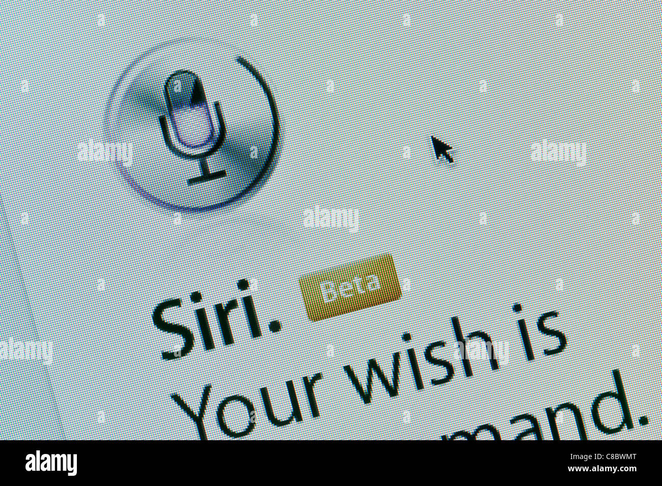 Close-up della Siri app logo come si vede sul sito web di Apple. (Solo uso editoriale: -print, TV, e-book e Redazione sito web). Foto Stock