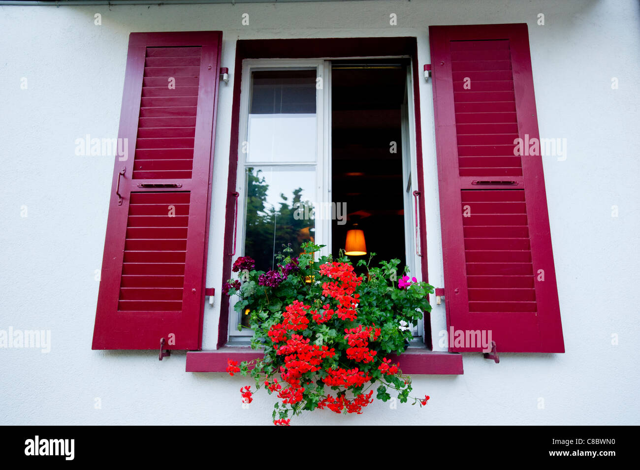 Balcon decora colore rosso brillante trailing gerani in scatole di finestra a Champery, Svizzera e visto in chalet nelle Alpi Svizzere Foto Stock