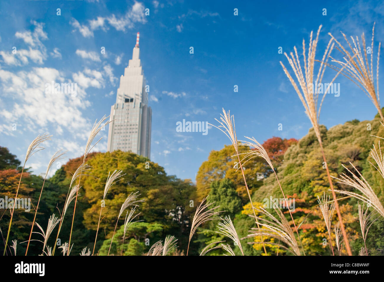 Vista di Yoyogi edificio dal Shinjuku Gyoen National Garden Foto Stock