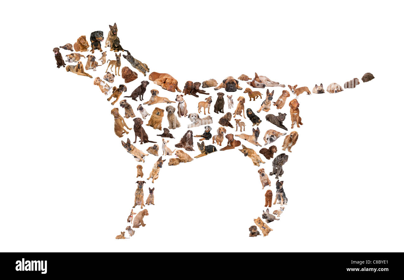 Silhouette di un cane realizzato con il cane foto Foto Stock