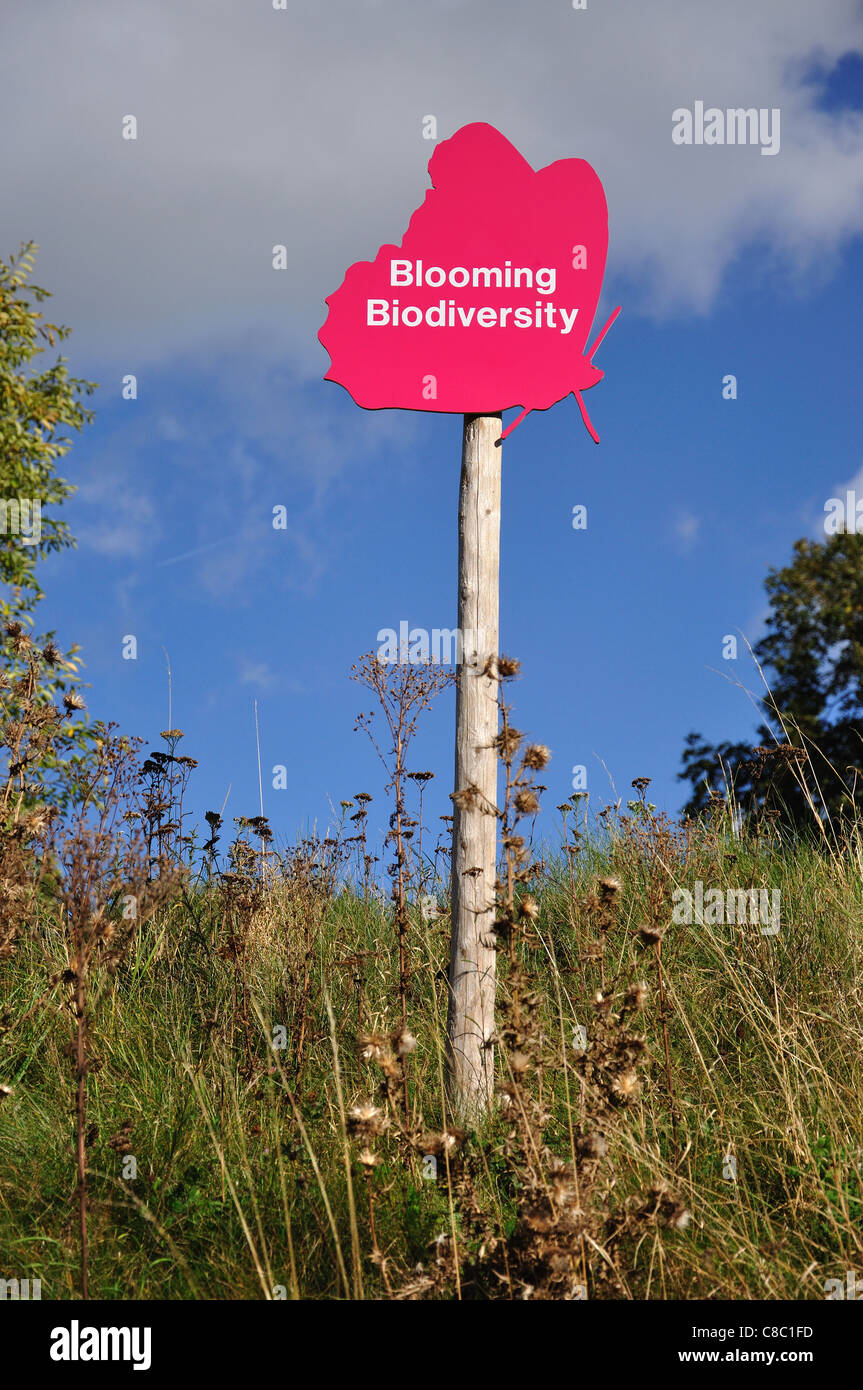 Blooming biodiversità tour a piedi nel segno, Bracknell, Berkshire, Inghilterra, Regno Unito Foto Stock