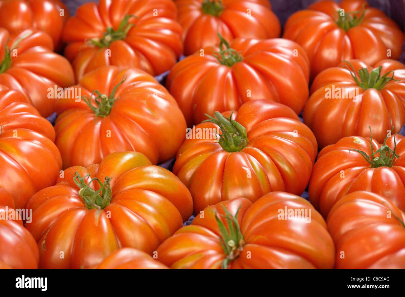 Pressione di stallo di pomodori coeur de boeuf Foto Stock