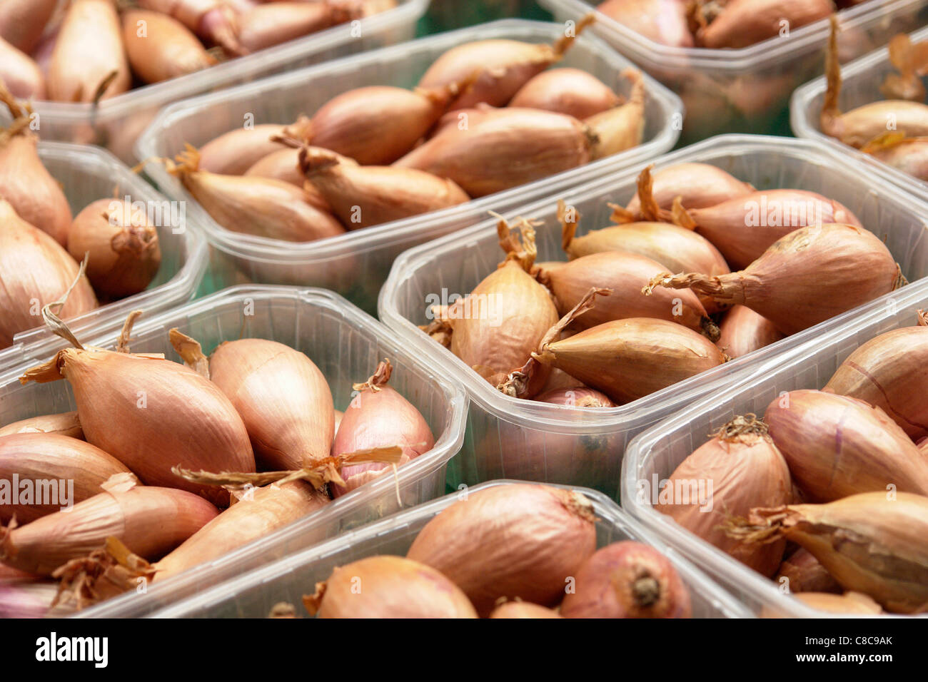 Stallo del punnets di scalogni Foto Stock