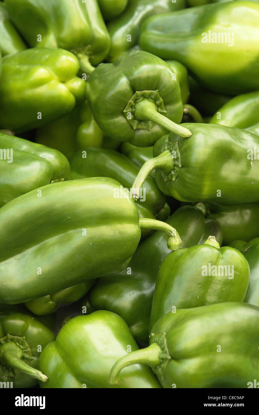 Stallo di peperoni verdi Foto Stock