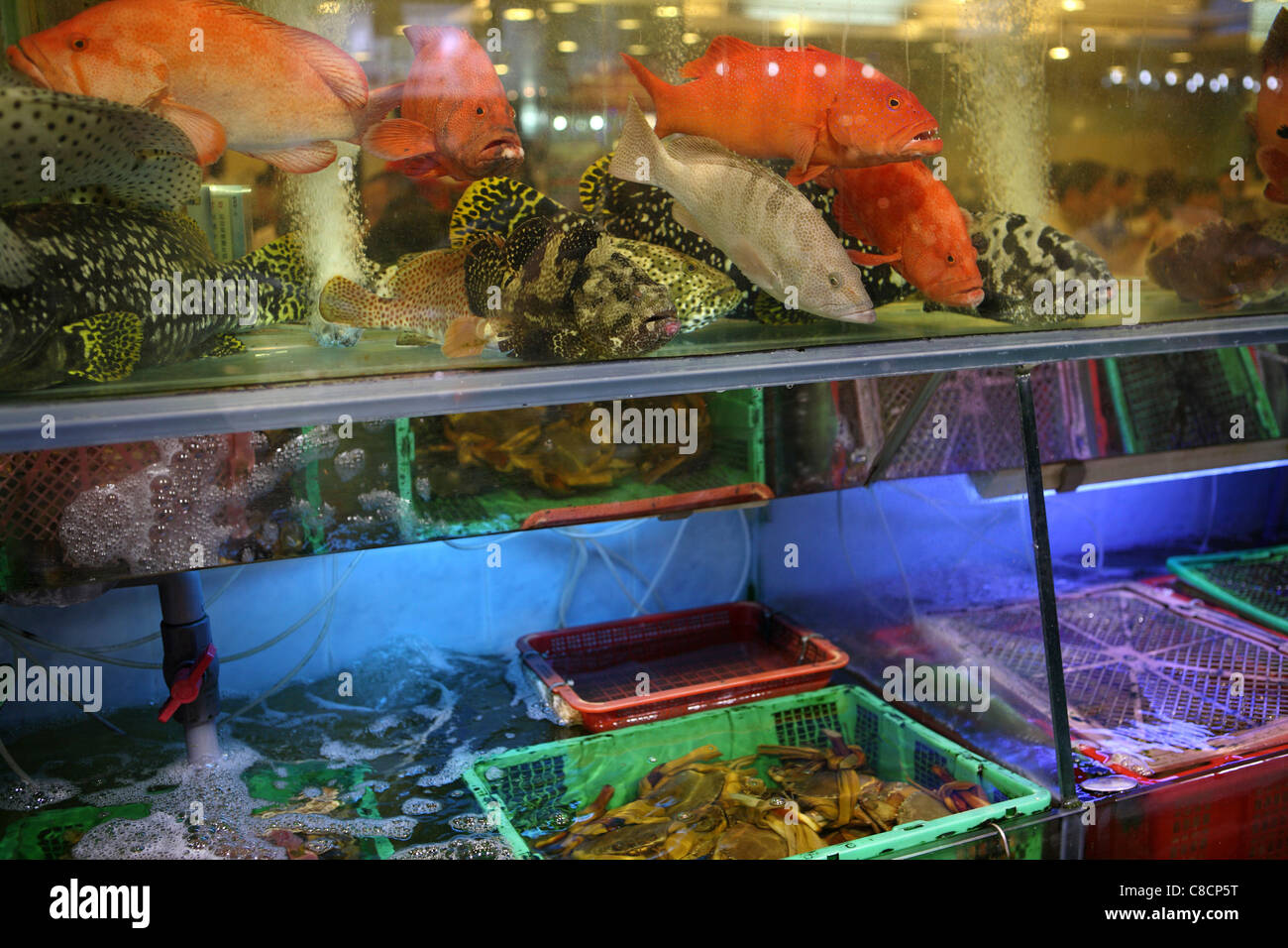 Pesci vivi e creature del mare nei serbatoi, nella finestra del ristorante a Hong Kong, Cina Foto Stock