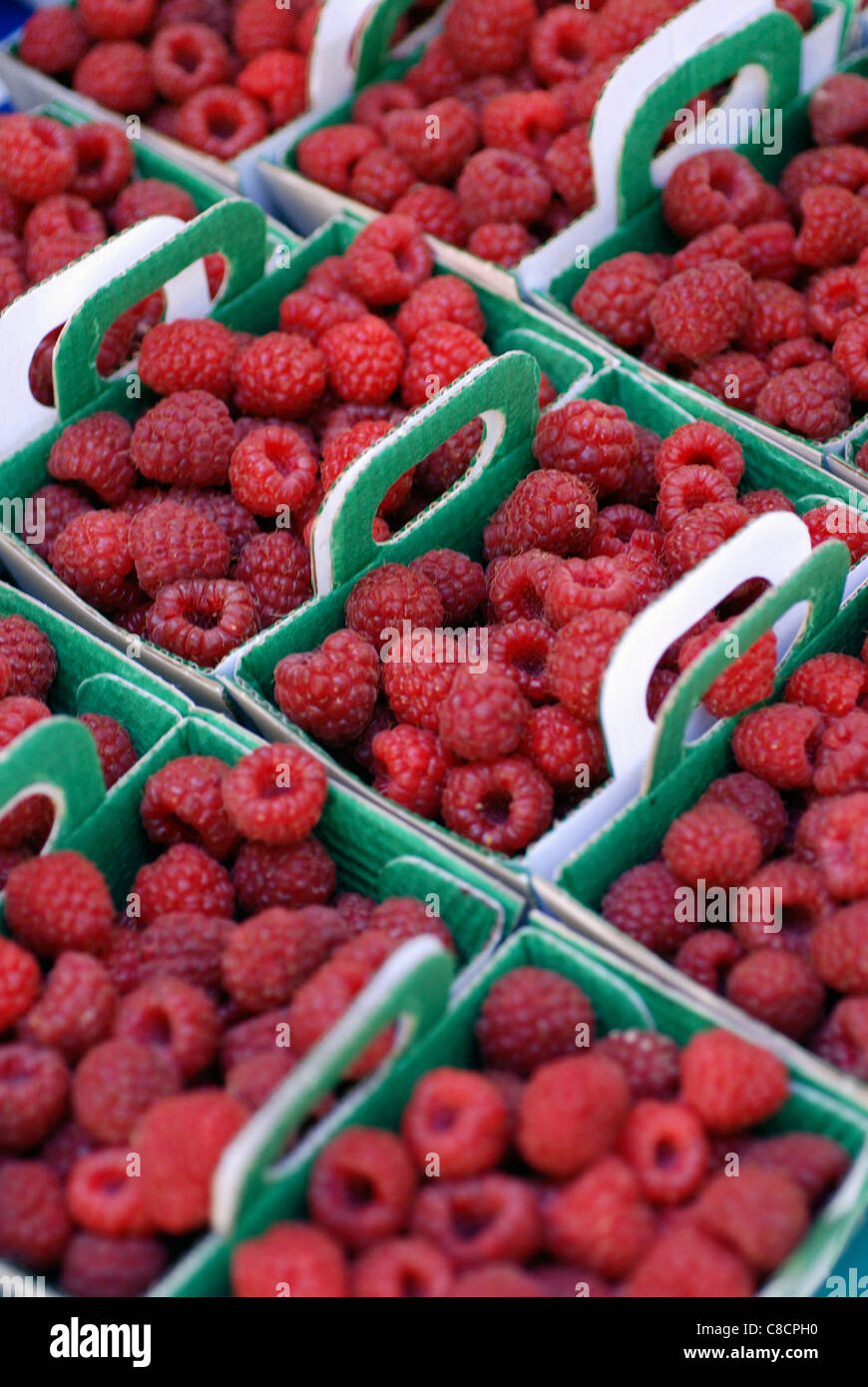 Punnets di lamponi Foto Stock