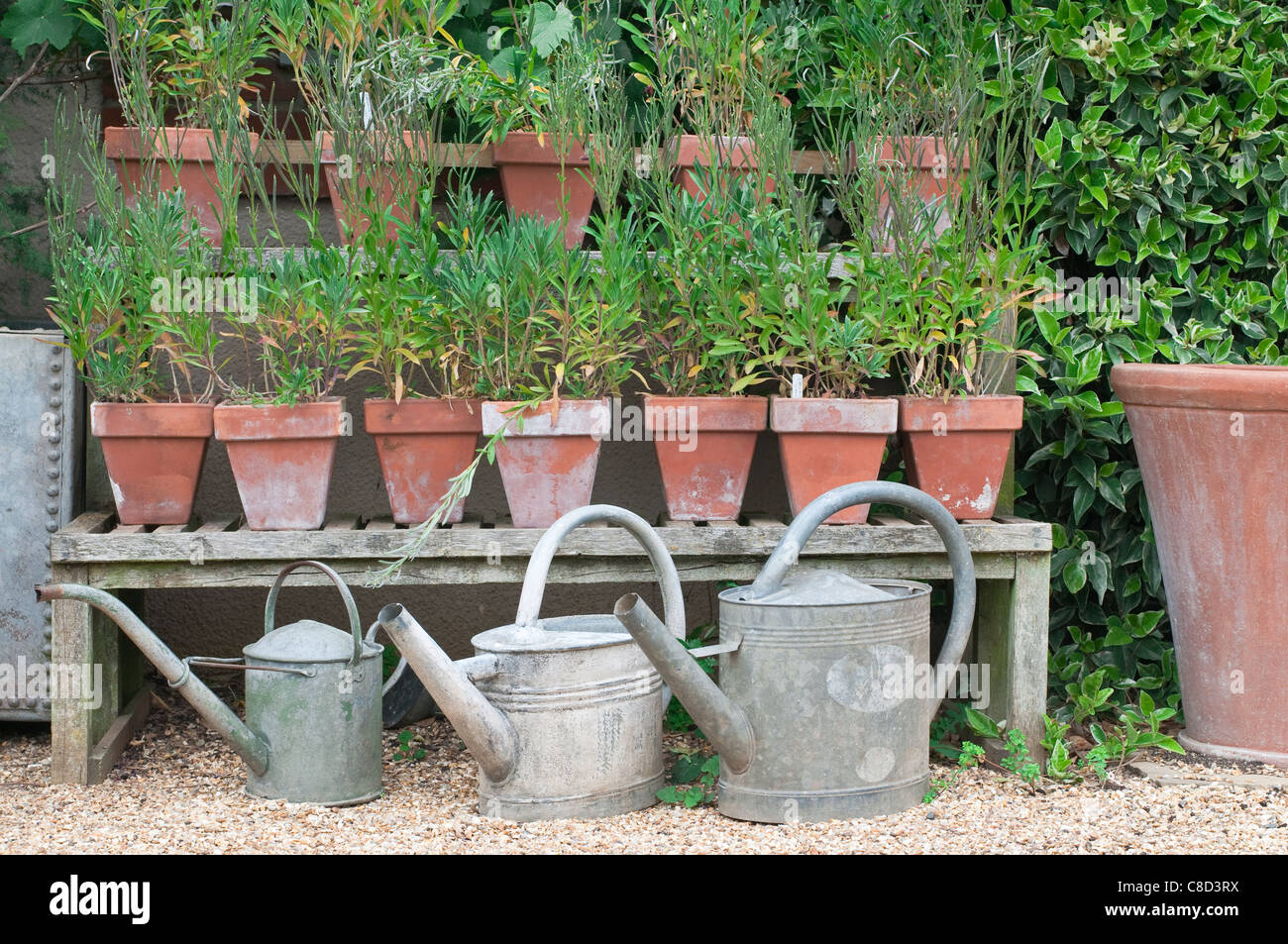 English Garden cottage, Norfolk, Regno Unito Foto Stock