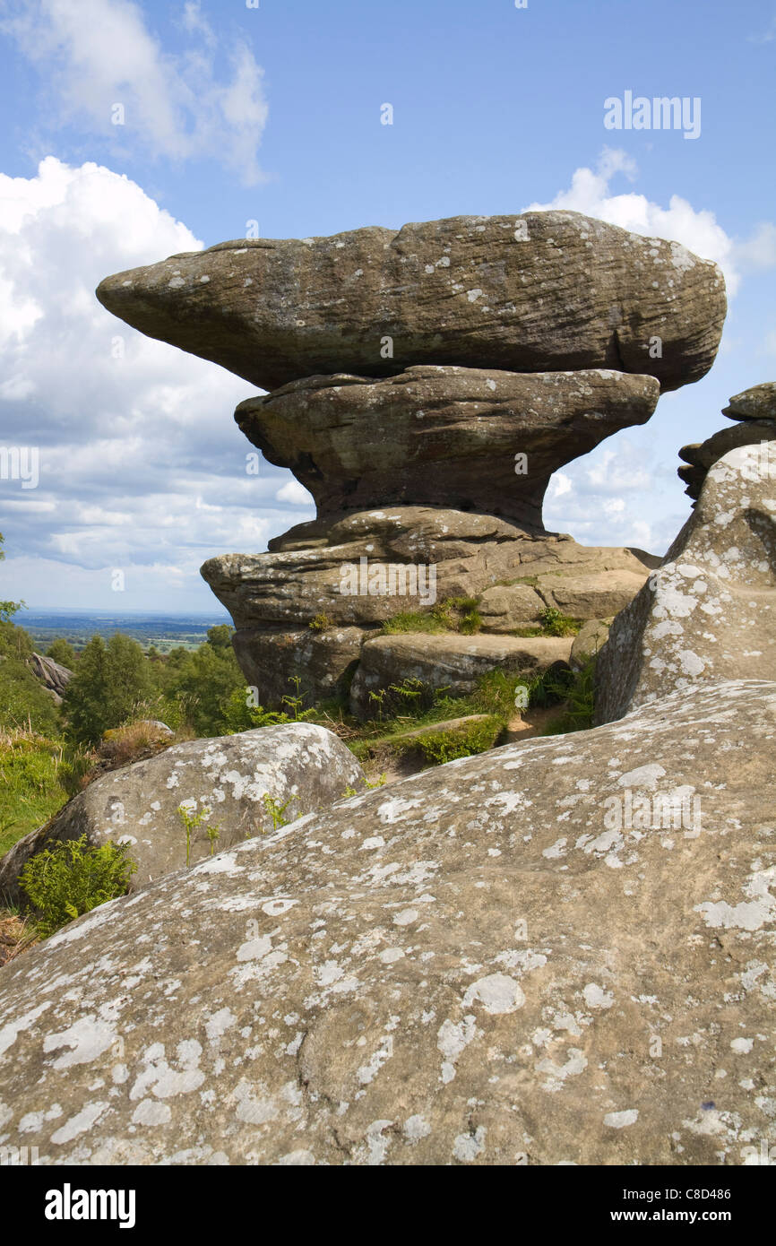 Il druid scrivania, uno dei molti notevoli formazioni rocciose trovato alla brimham rocks in nidderdale, Yorkshire Foto Stock