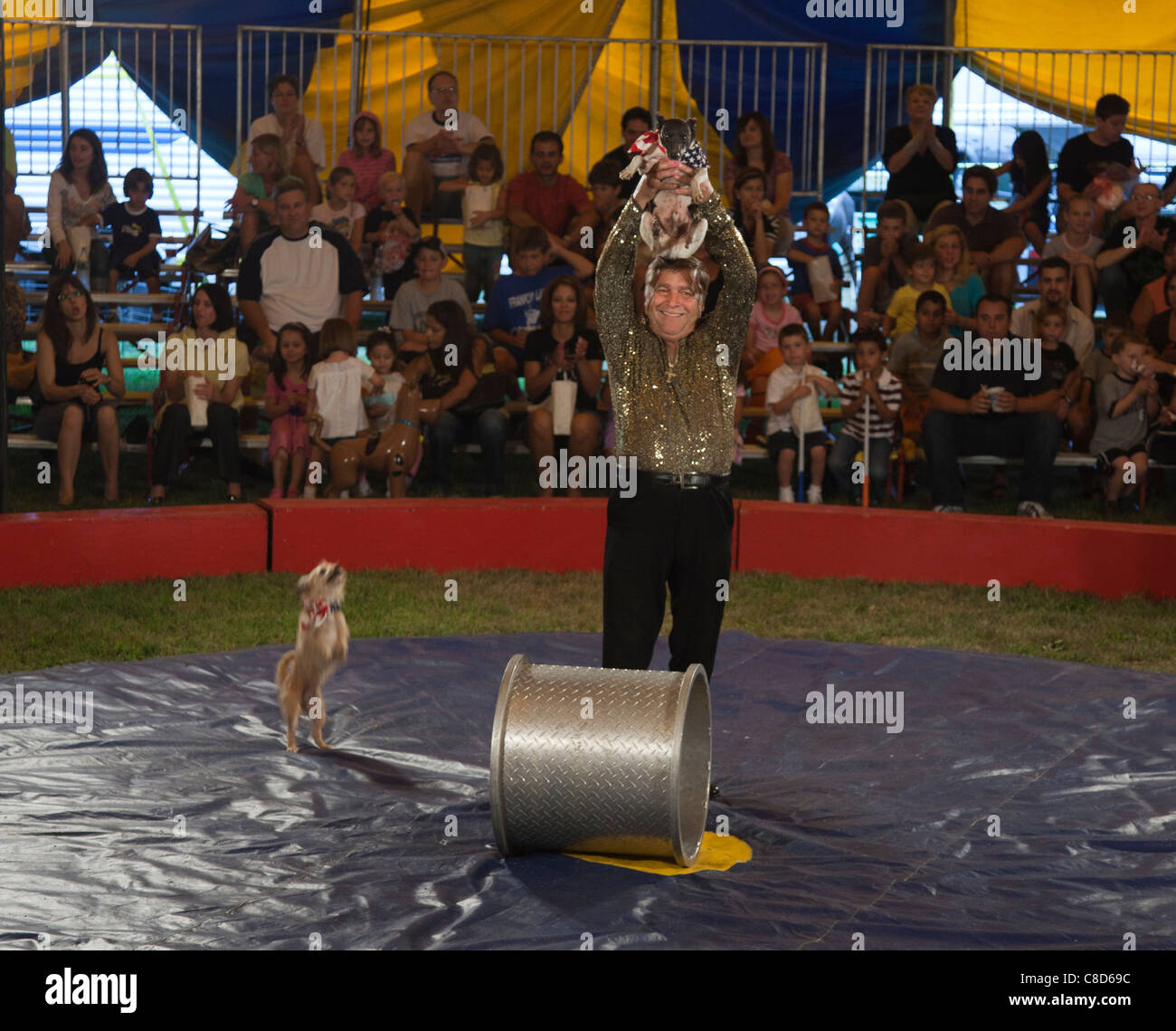 Cani fare trucchi in un circo Foto Stock