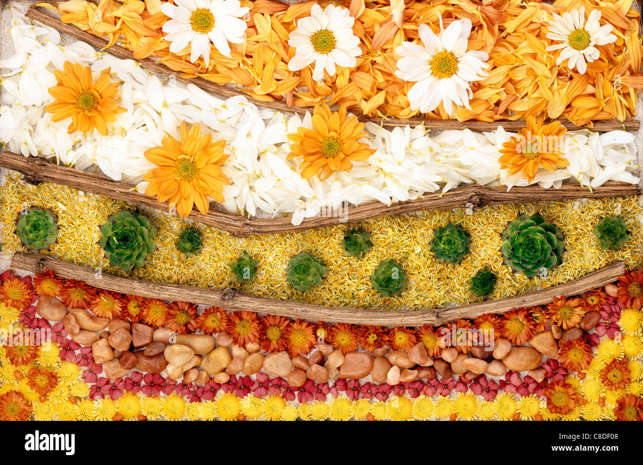 Arte astratta di bacche di sfondo clip-art a colori di contorno di composizione di tarassaco decorazione particolare decorativo doodle draw Foto Stock