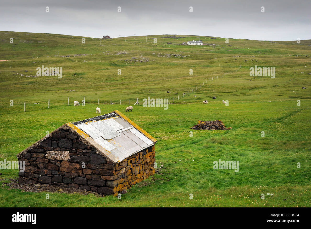 Vista di un casolare in pietra utilizzati per gli agnelli e le pecore al riparo in. Situato a Eshaness sulle isole Shetland, Scozia. Foto Stock