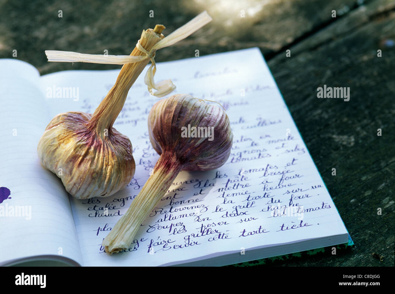 Testa di aglio sulla nota prenota Foto Stock