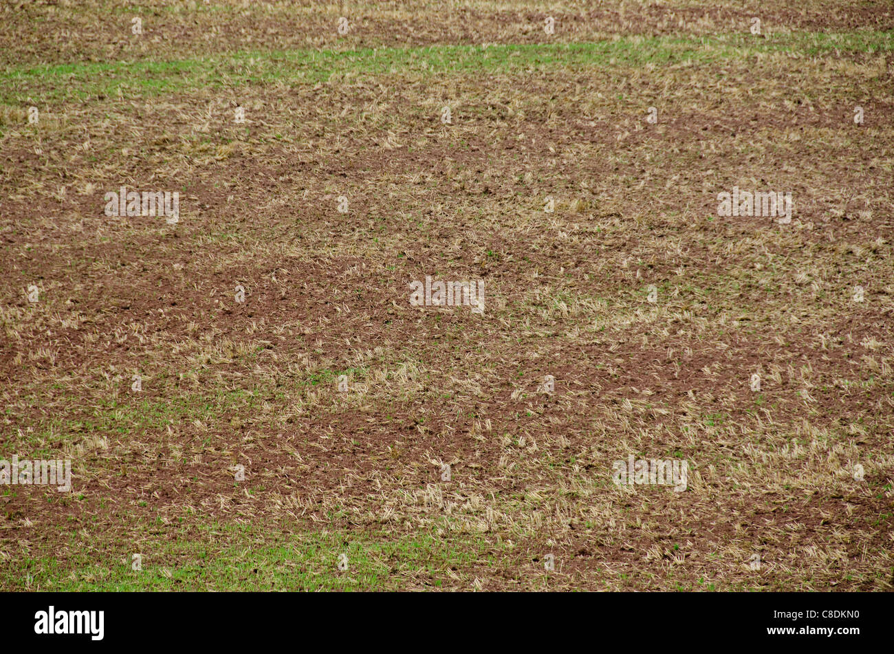 Raccolte e campo arato la configurazione di sfondo con il suolo, paglia o erba Foto Stock