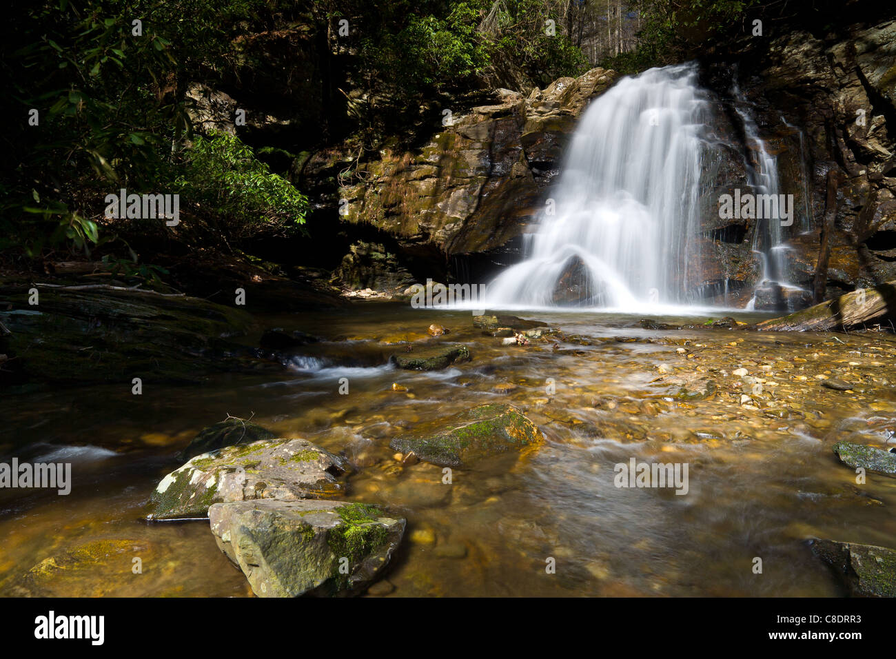 Questa cascata si trova sulla scogliera di raven falls trail in bianco county georgia appena a nord di helen. ho battezzo 'maidenhair cade' in quanto non hanno un altro nome per la mia conoscenza e ricerca. sono un po' difficile da raggiungere fuori dal lato della scogliera raven cade percorsi circa 1.5 miglia dal sentiero. Foto Stock