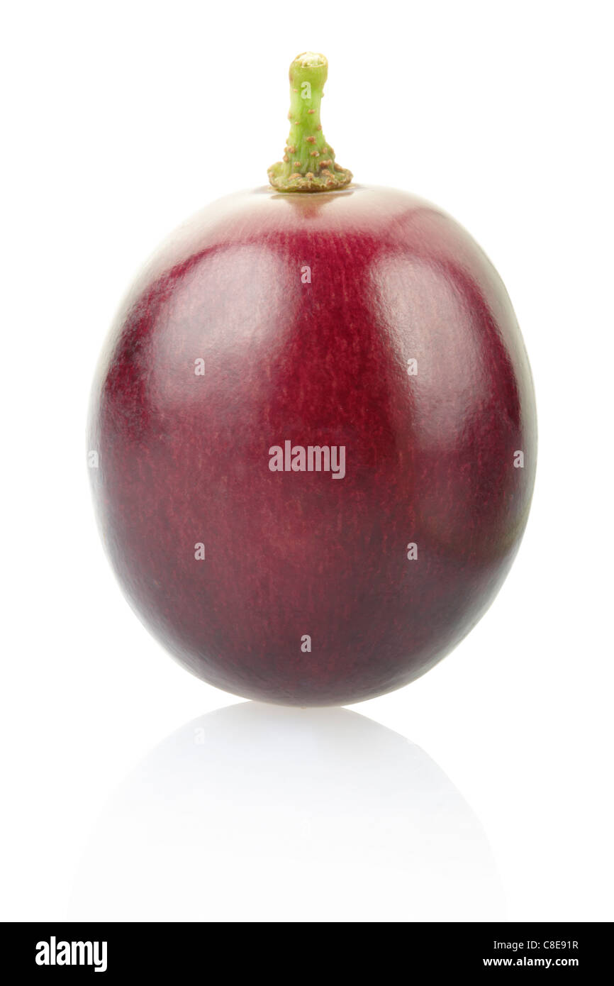 Bacca dell'uva rossa Foto Stock