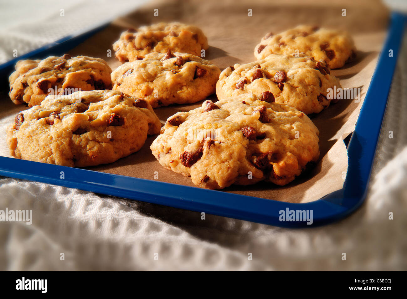 Biscotti al cioccolato Foto Stock