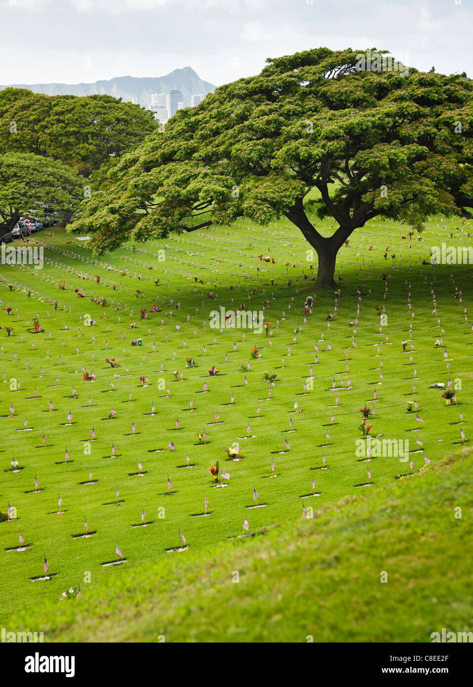 Cimitero di conca e Diamond Head (panorama verticale) Foto Stock