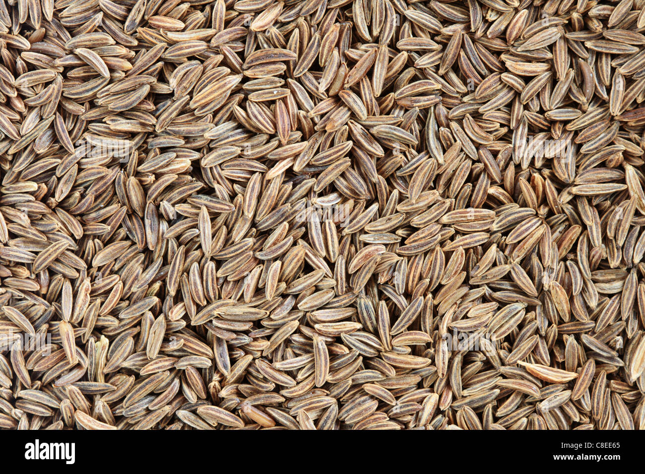 Immagine macro di semi di cumino per uso in background Foto Stock