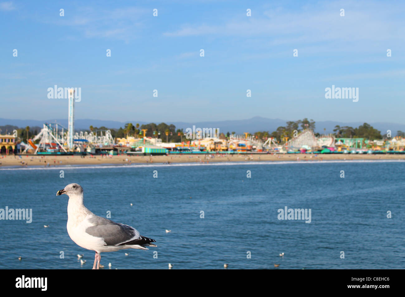 Un Gabbiano con la Santa Cruz parco divertimenti Foto Stock