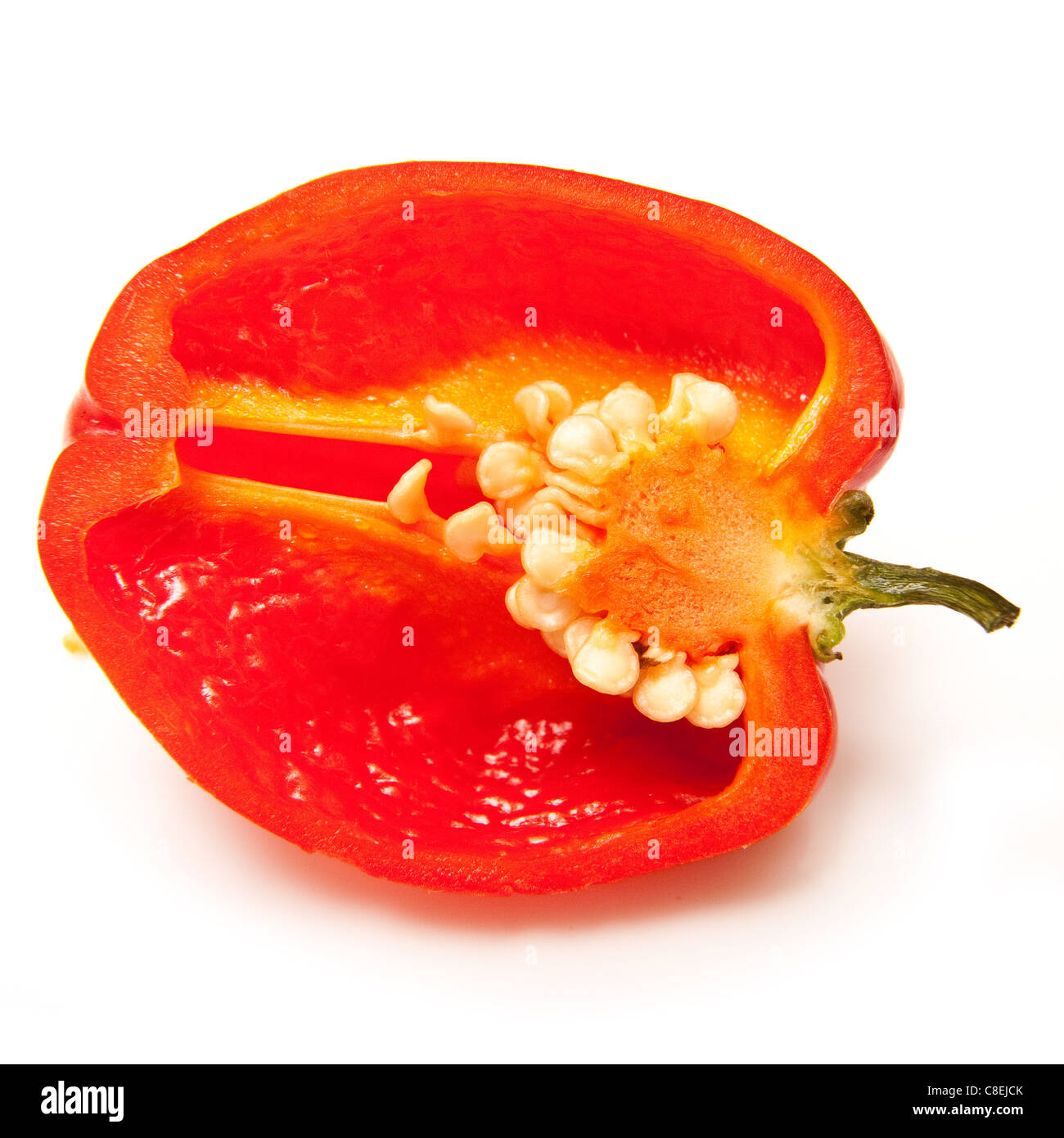 Scotch Bonnet peperoncino o dei Caraibi pepe isolato su un bianco di sfondo per studio. Foto Stock
