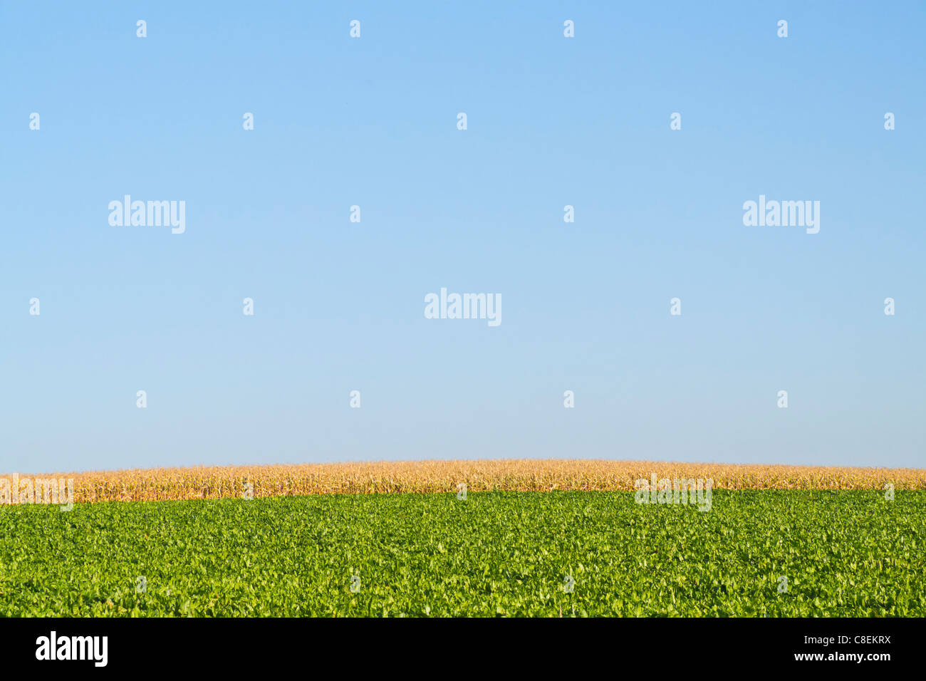 Paesaggio agricolo Foto Stock Paesaggio agricolo Foto Stock
