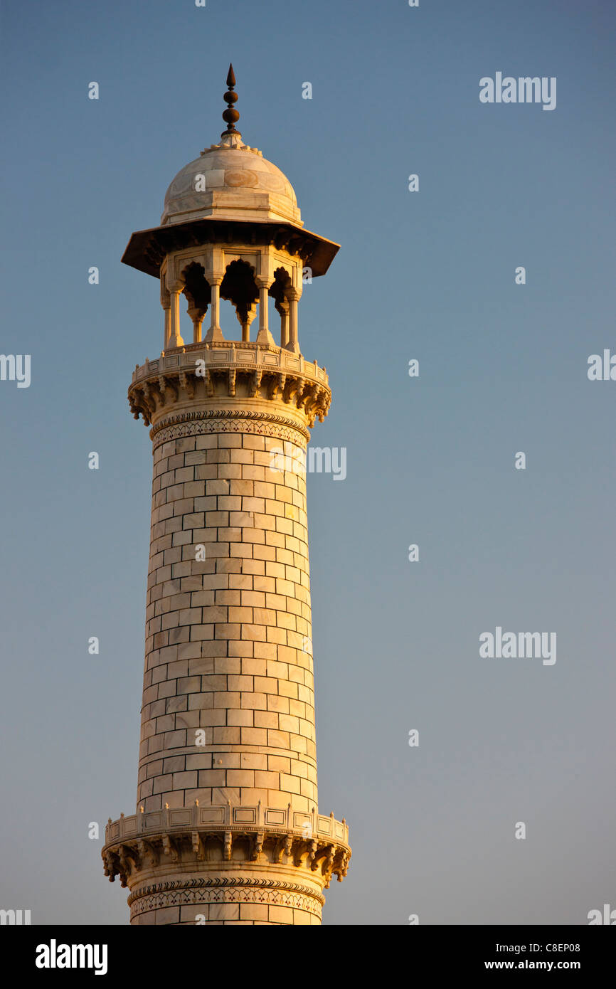 Il minareto di Taj Mahal mausoleo, Uttar Pradesh, India Foto Stock