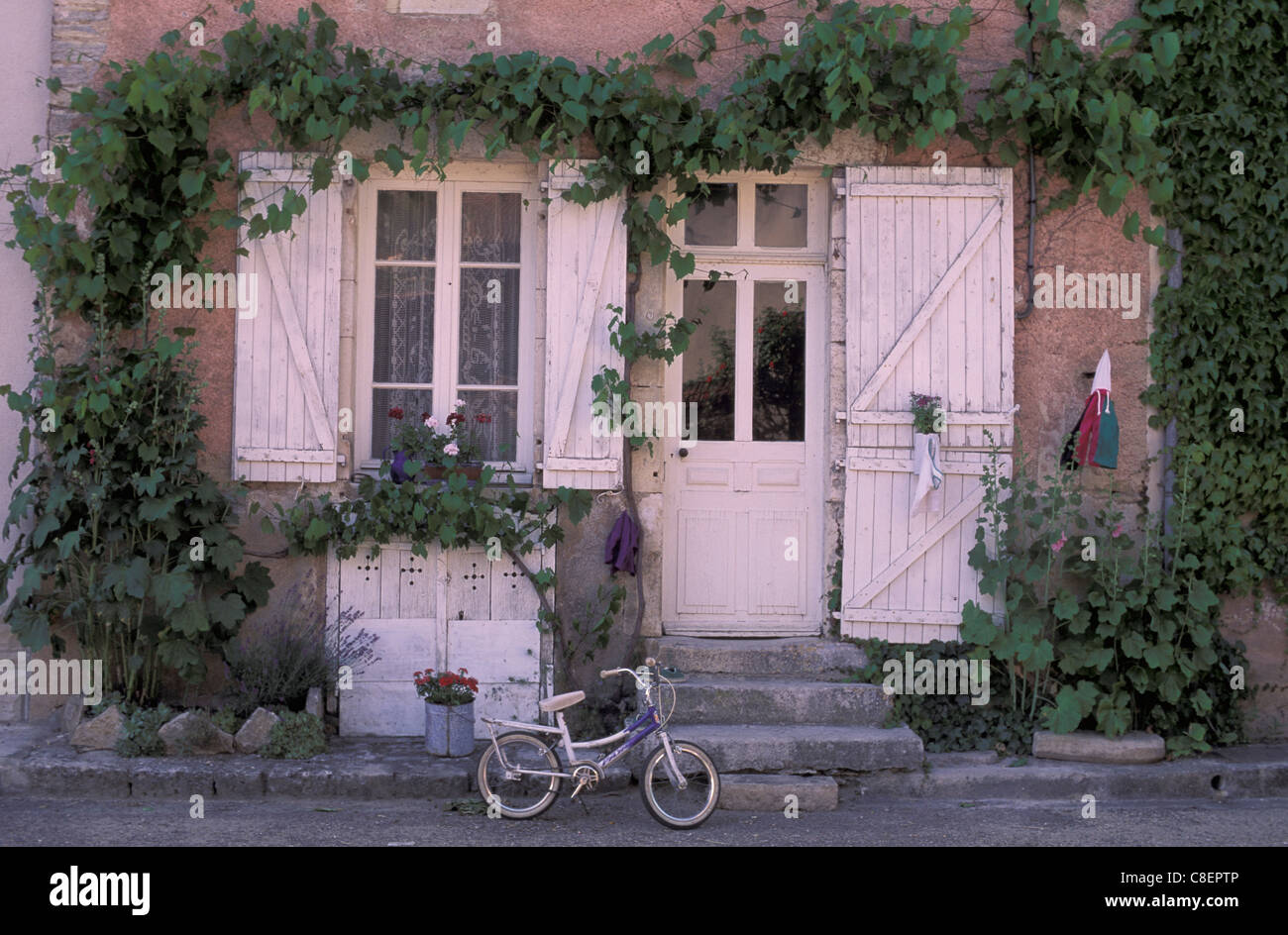 Sportello, bicicletta, Noyers, Borgogna, in Francia, in Europa, facciata, viticci Foto Stock