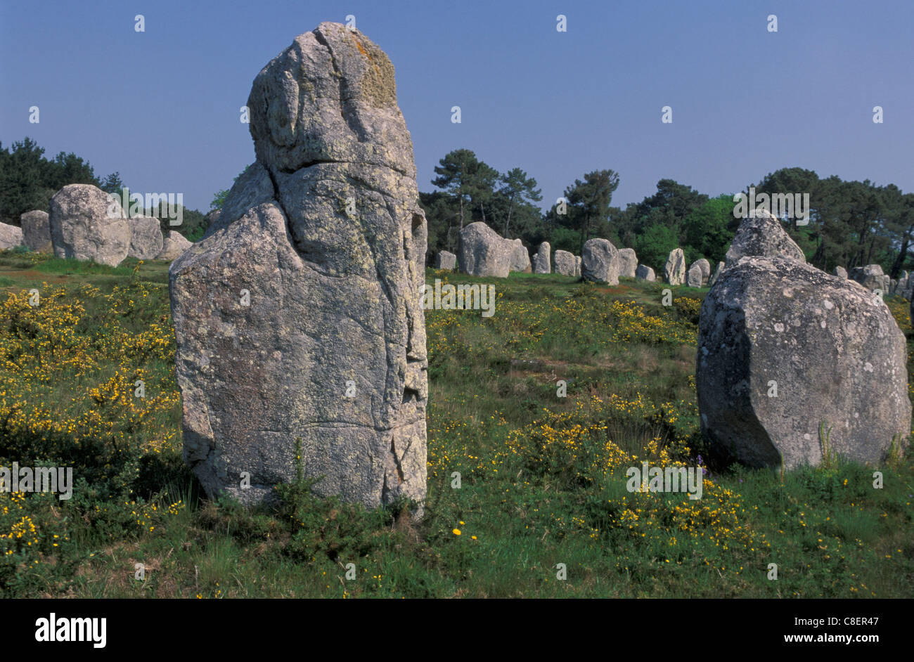Sito megalitico di Carnac,, Bretagna Bretagne, Francia, Europa civiltà megalitica, Foto Stock