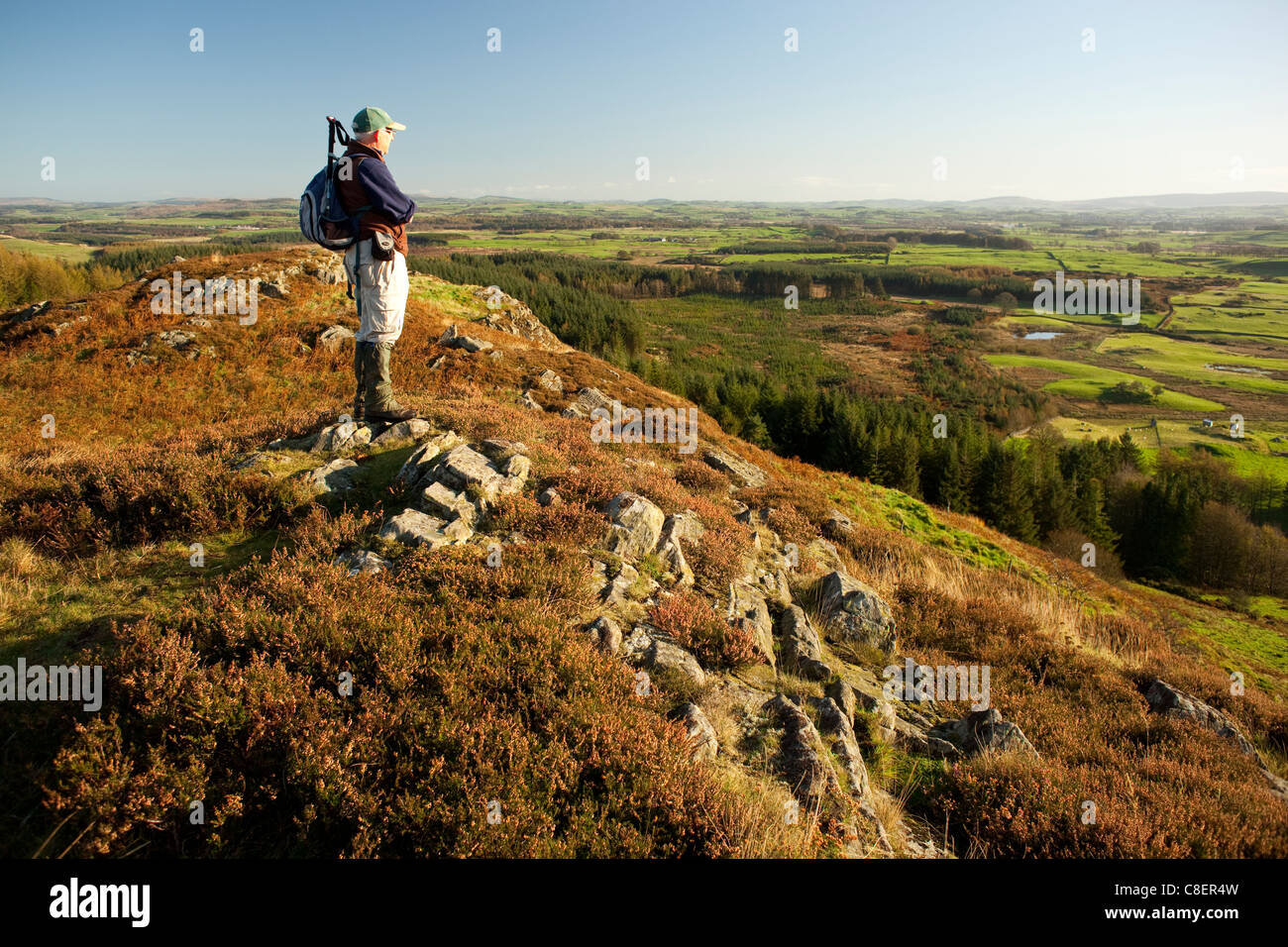 Panoramica paesaggio autunnale. Anziani walker permanente sulla Barstobrick collina nei pressi di Ringford guardando attraverso il Galloway a Moffat Hills Foto Stock