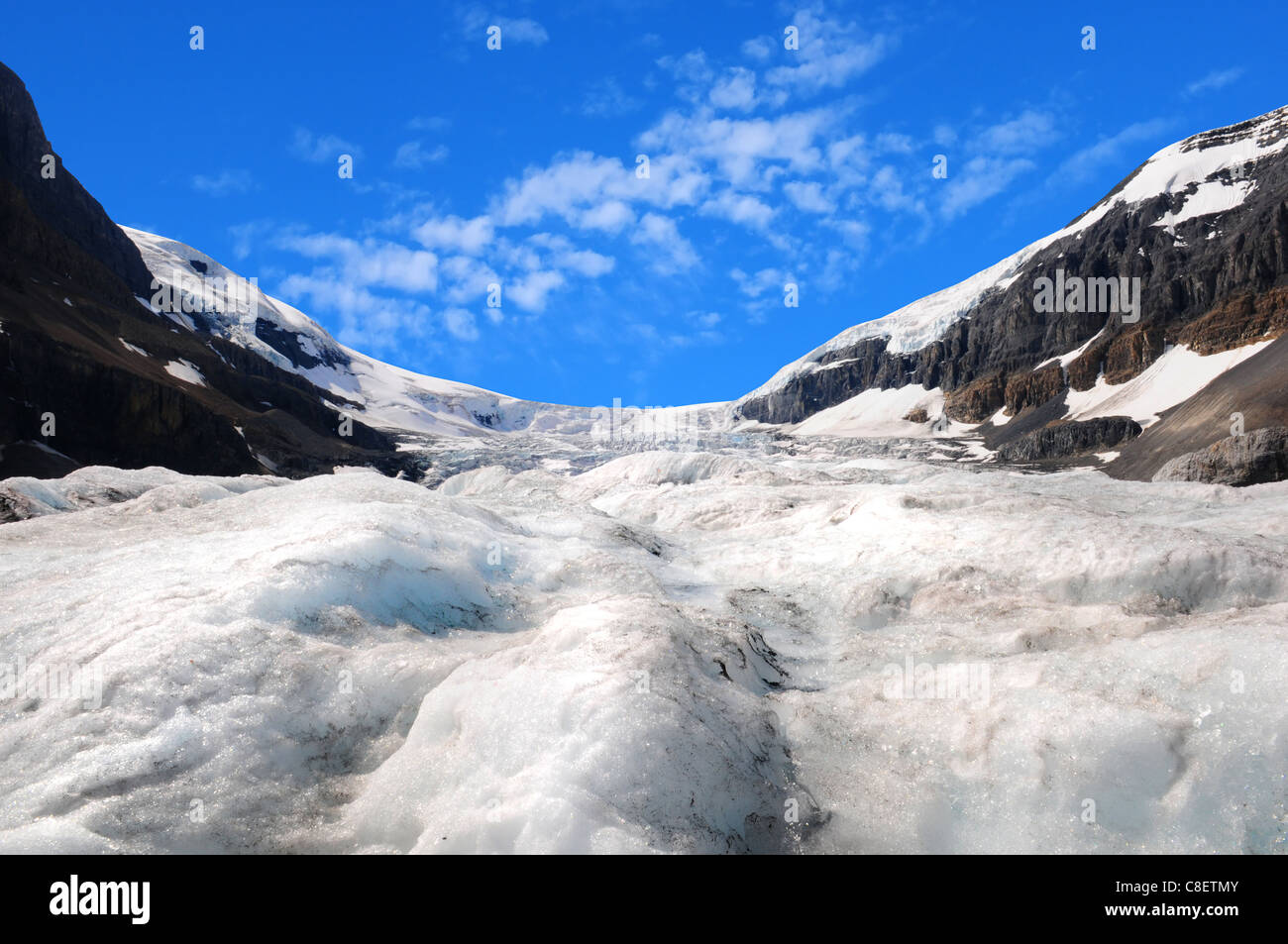 Ghiacciaio Athabasca Columbia Icefields, Canada Foto Stock