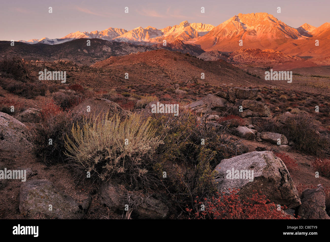 Sierra Nevada, montagne, vicino a Mammoth Lakes, California, Stati Uniti d'America, Stati Uniti, America, Foto Stock