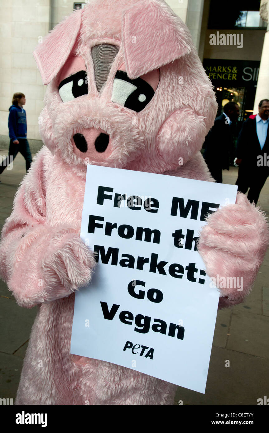 Occupare il London Stock Exchange camp . Persona vestita come un maiale con pro vegan segno Foto Stock